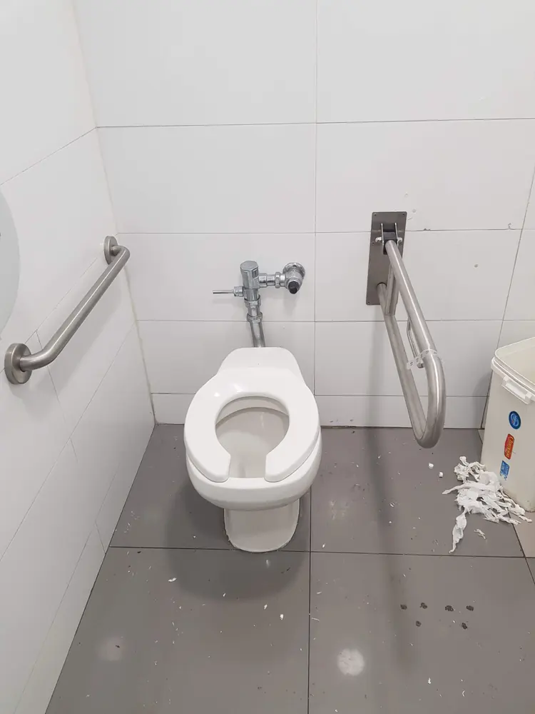 Baño accesible con WC de fluxómetro y barras de apoyo a ambos lados