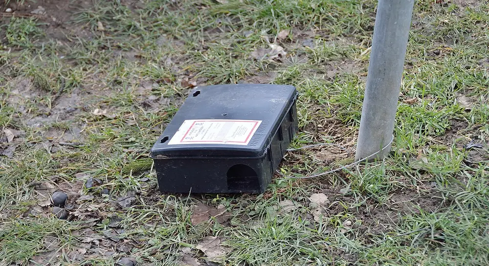 Estación de cebo negra instalada en el pasto junto a un poste