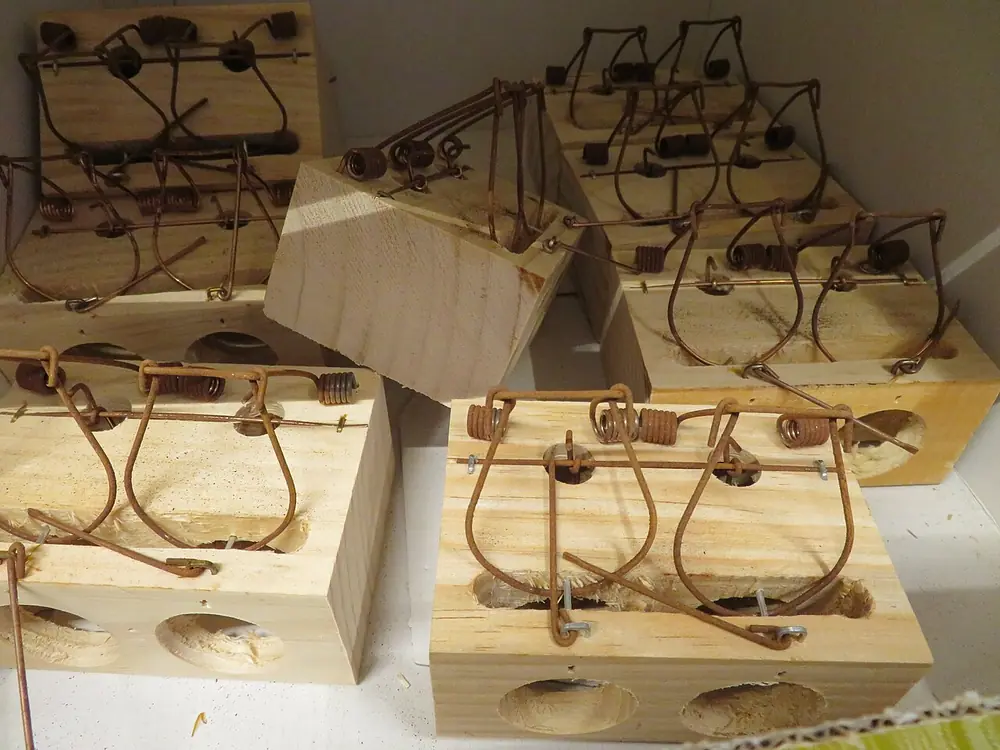 Trampas de resorte de madera apiladas